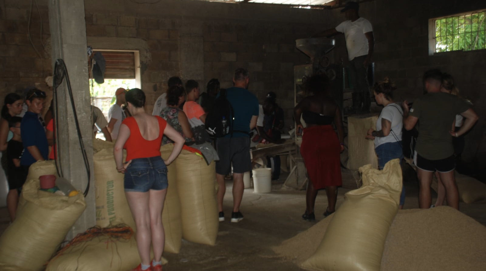 Treasures of punta cana miches