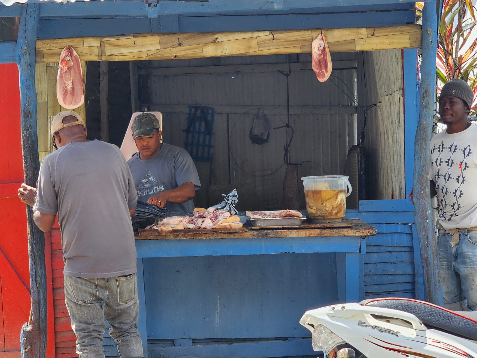 Be a dominican for a Day 