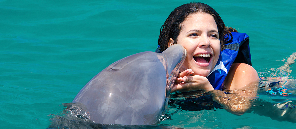 Dolphin Funtastic Excursion